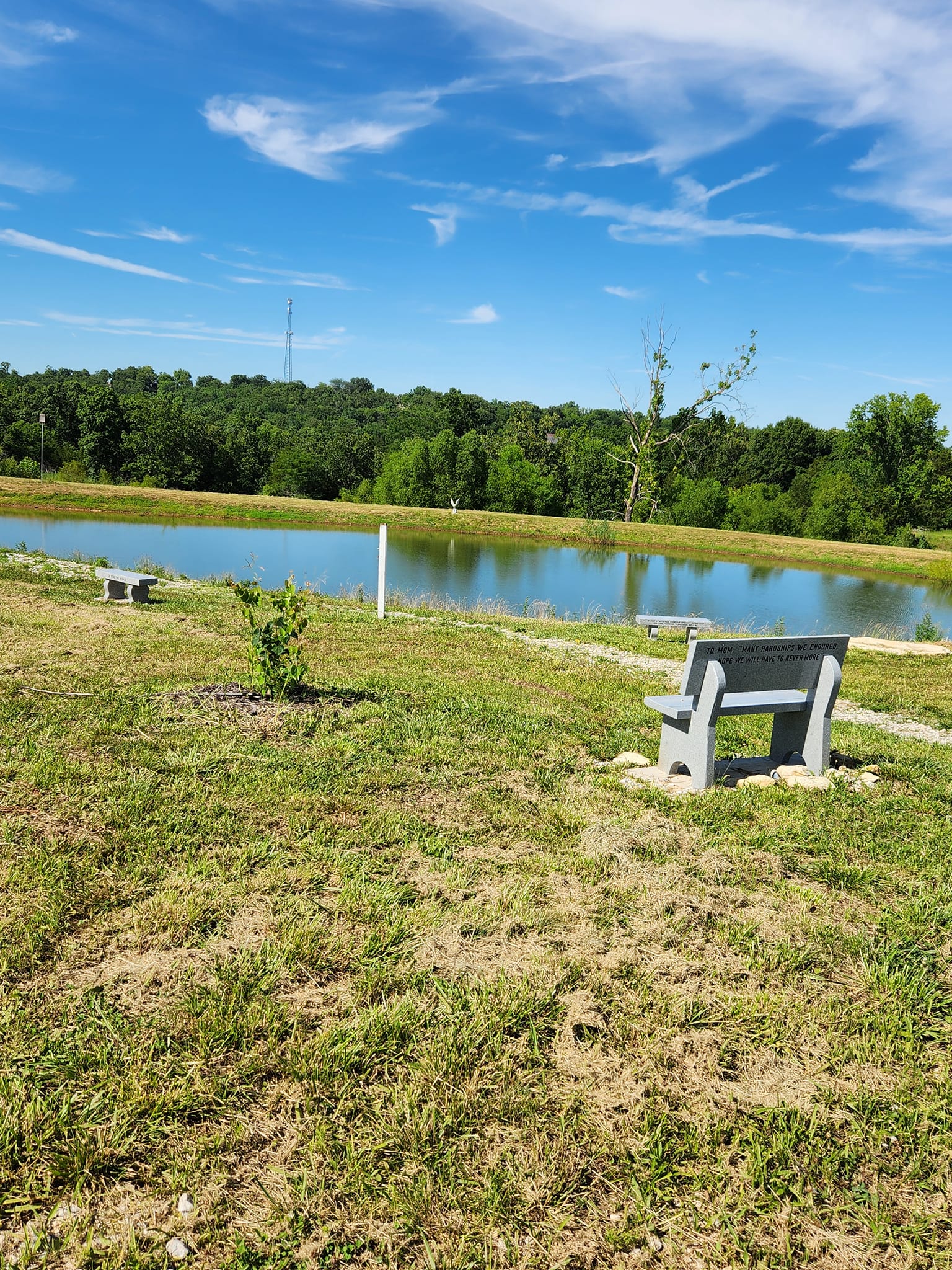 Freddy's Pond in De Soto with bench overlooking the water