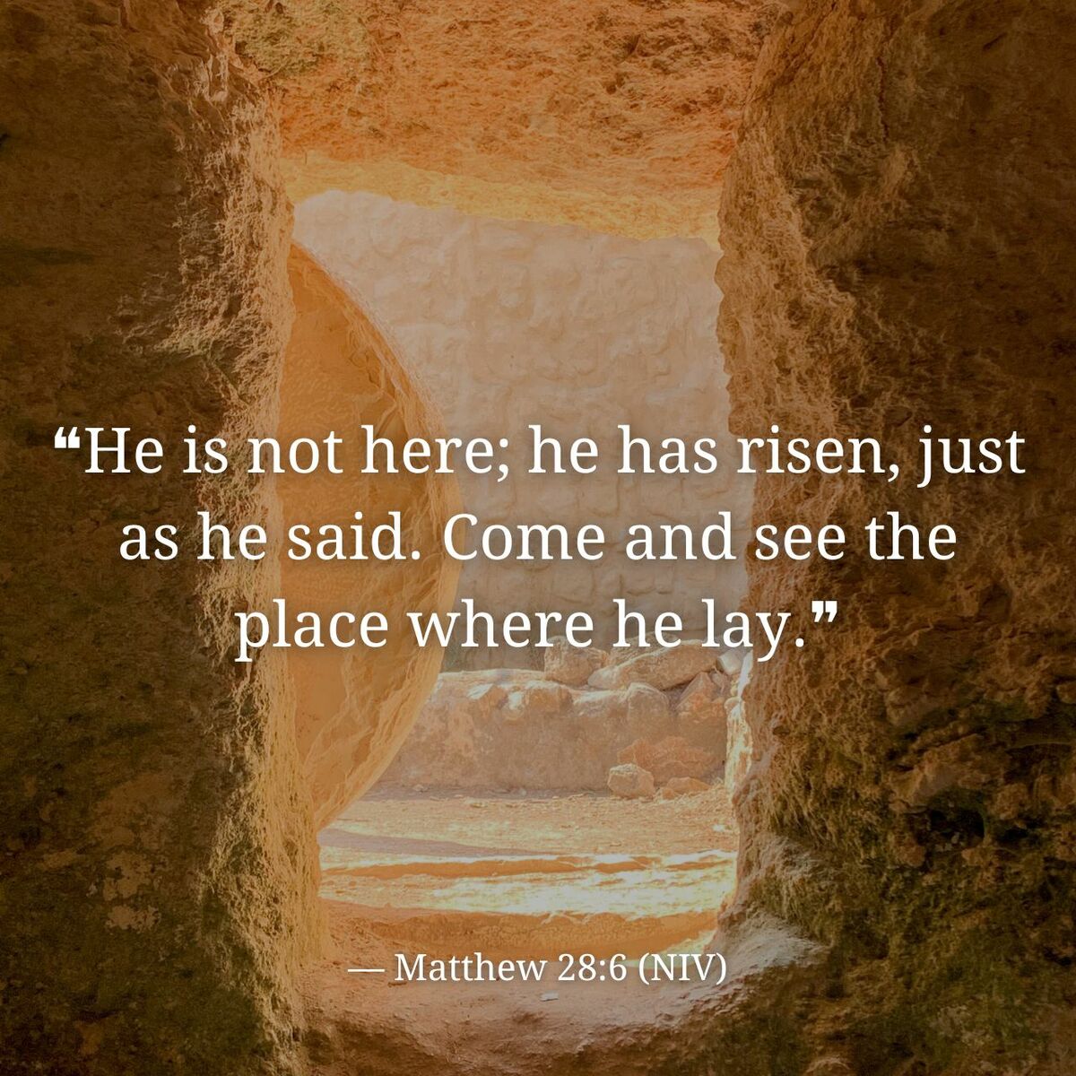 Verse of the Day: Matthew 28:6