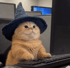 A ginger cat walking on a keyboard