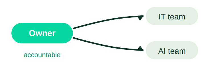 A single accountable owner connected to the IT team and the AI team