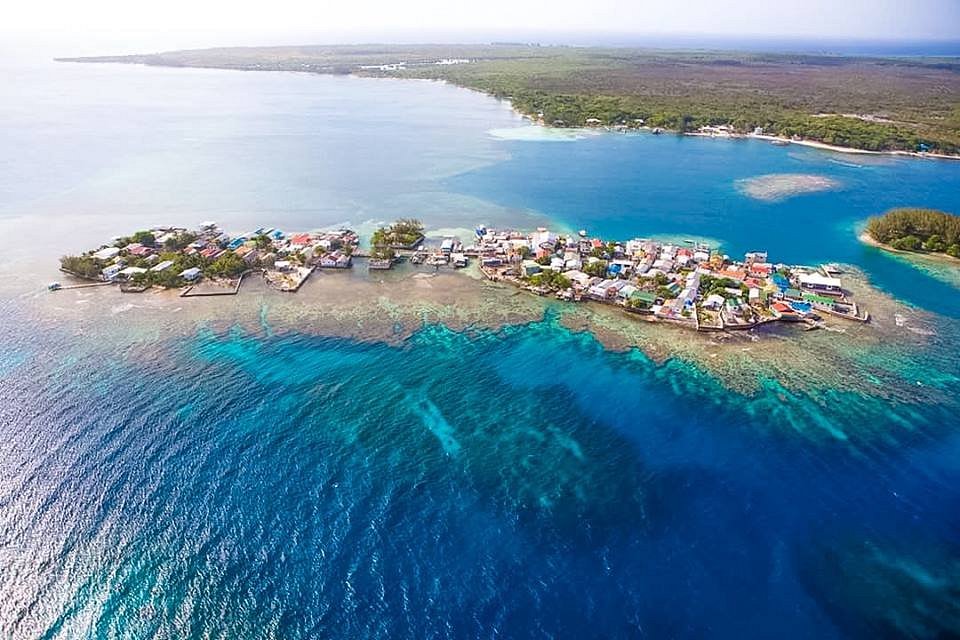 Utila Lodge: Overwater Diving & Whale Shark Season 