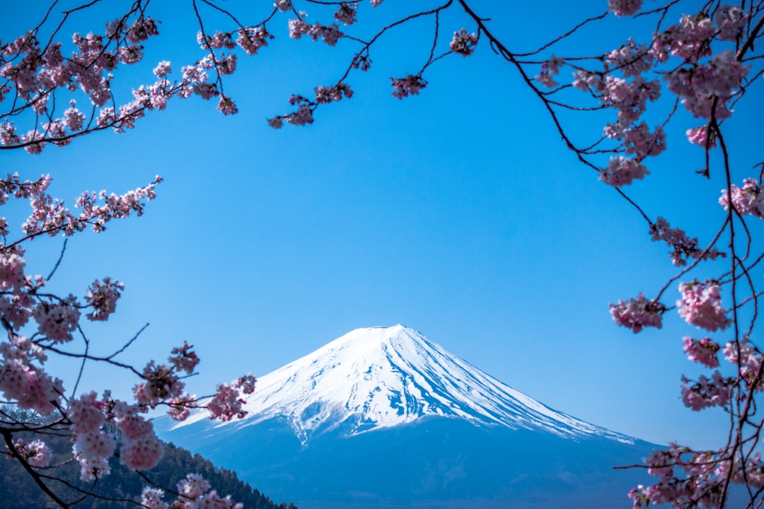 Japan's Bond Market Collapse