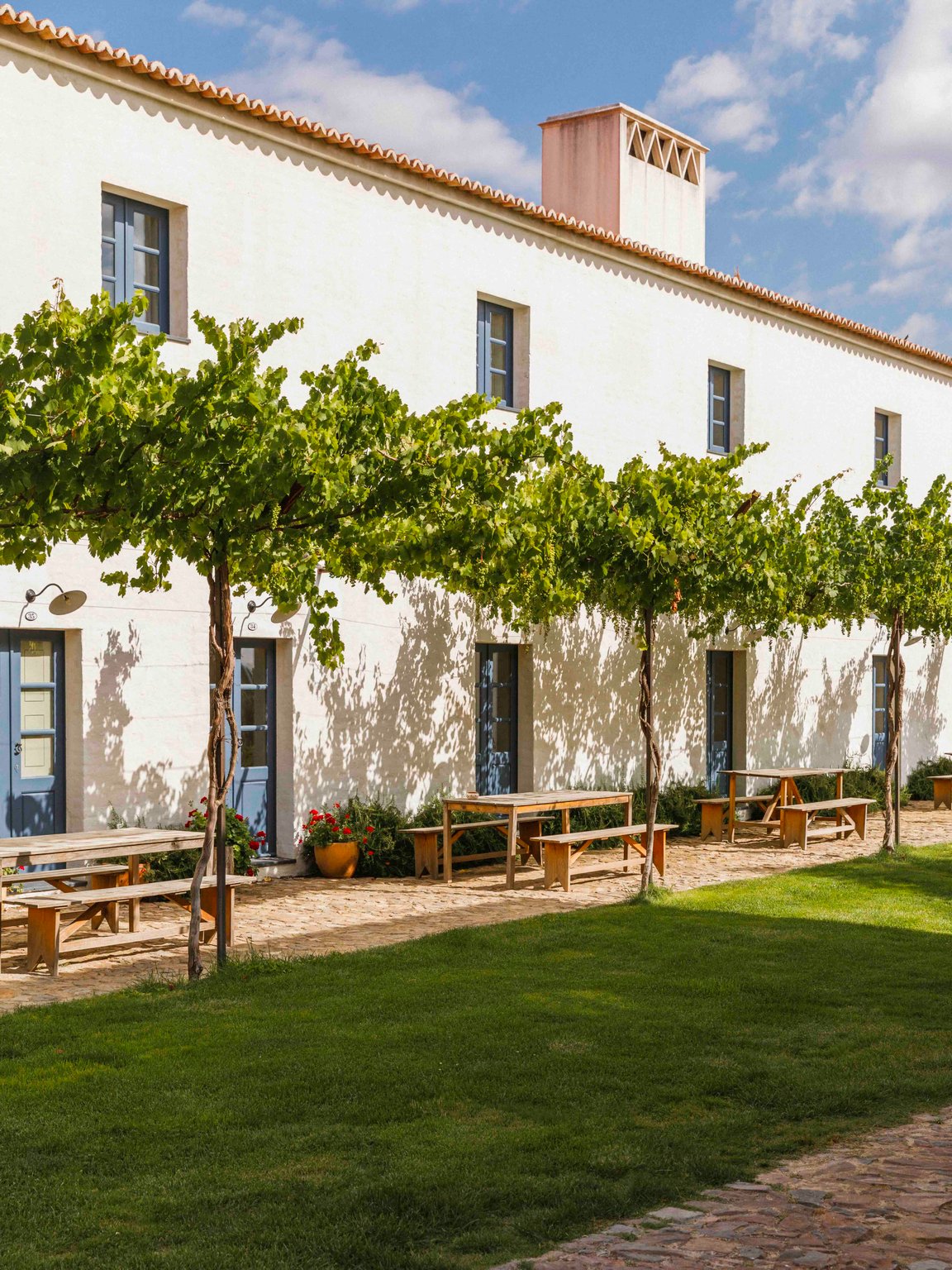 Whitewashed farmhouse and shaded lawn at São Lourenço do Barrocal