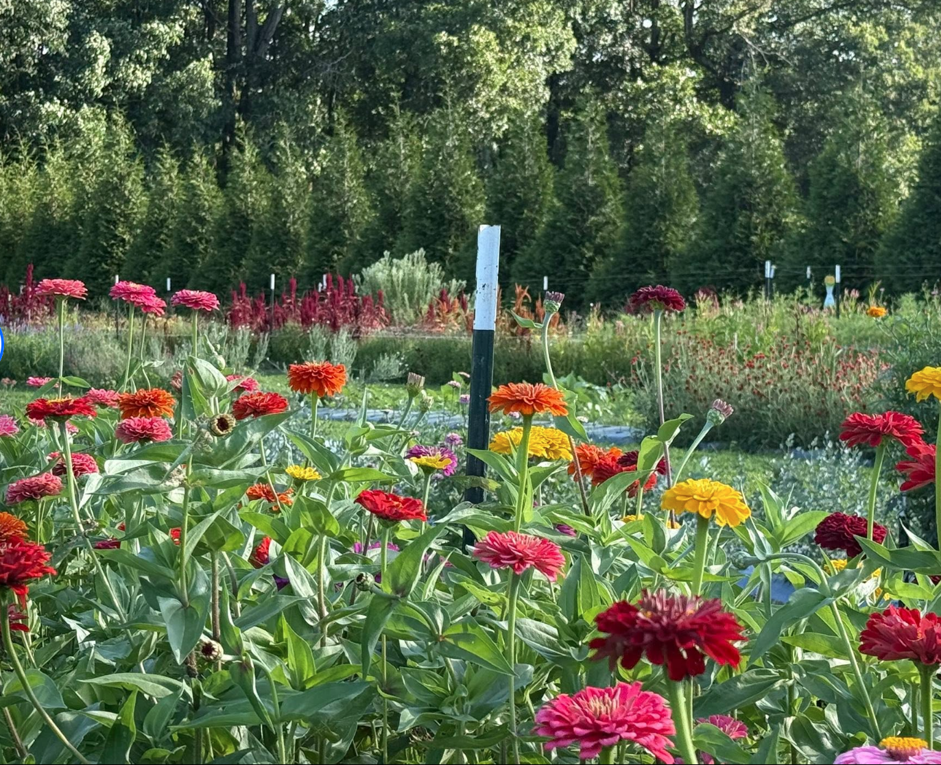 Sweet Magnolia Farmstead