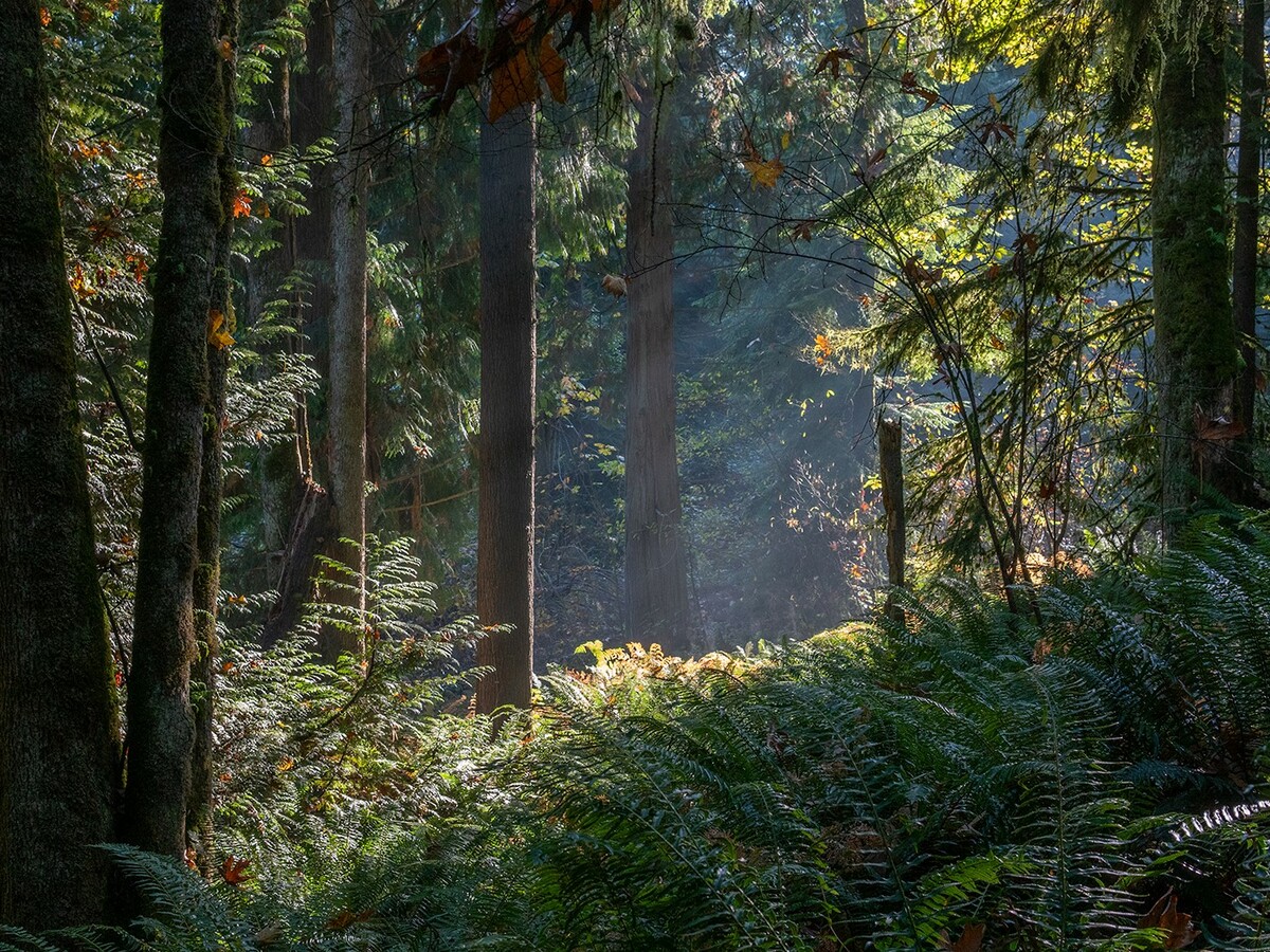 Cariboo Heights is headed for environmental protection, but some are