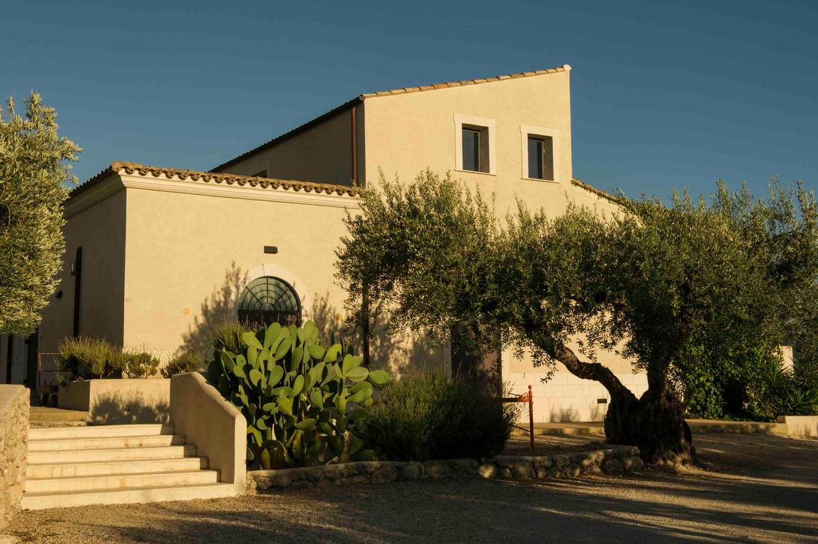 Farmhouse surrounded by olive trees at Azienda Agricola Mandranova