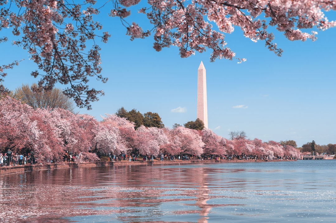 Washington DC to Paris for $672?