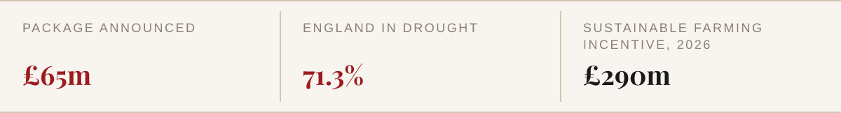Package announced 65 million pounds, 71.3% of England in drought, Sustainable Farming Incentive 290 million pounds for 2026.