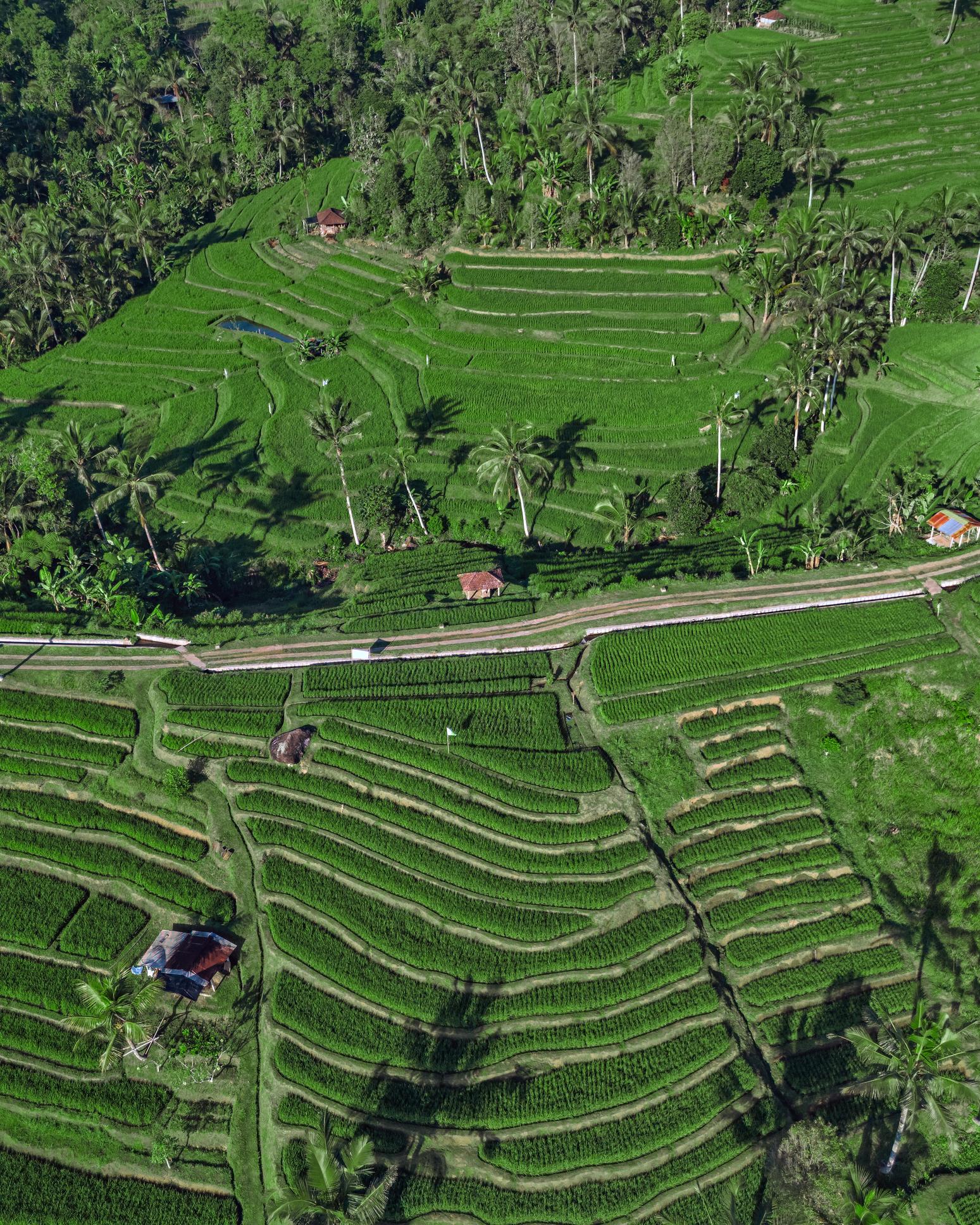 Indonesia