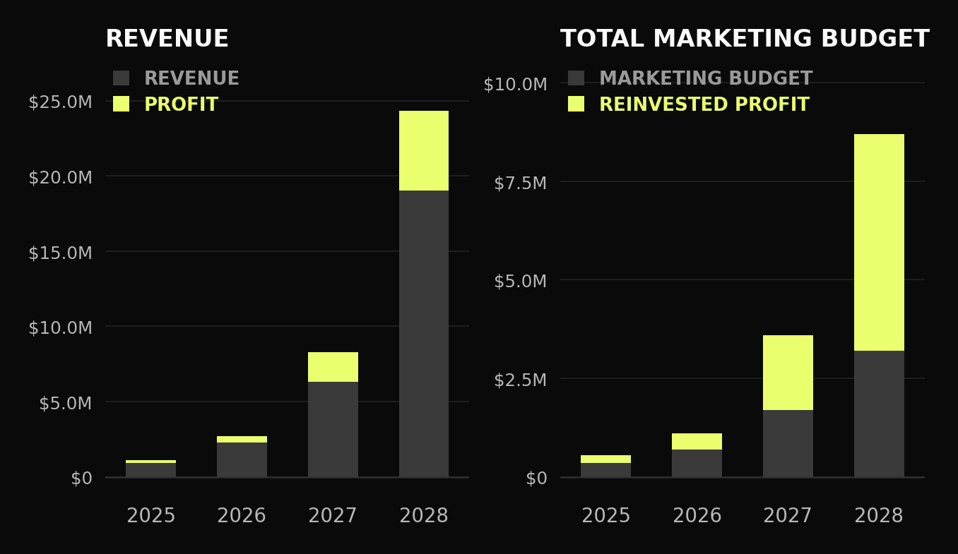 Side-by-side stacked column charts: Revenue + Profit and Marketing Budget + Reinvested Profit, both compounding 2025-2028.