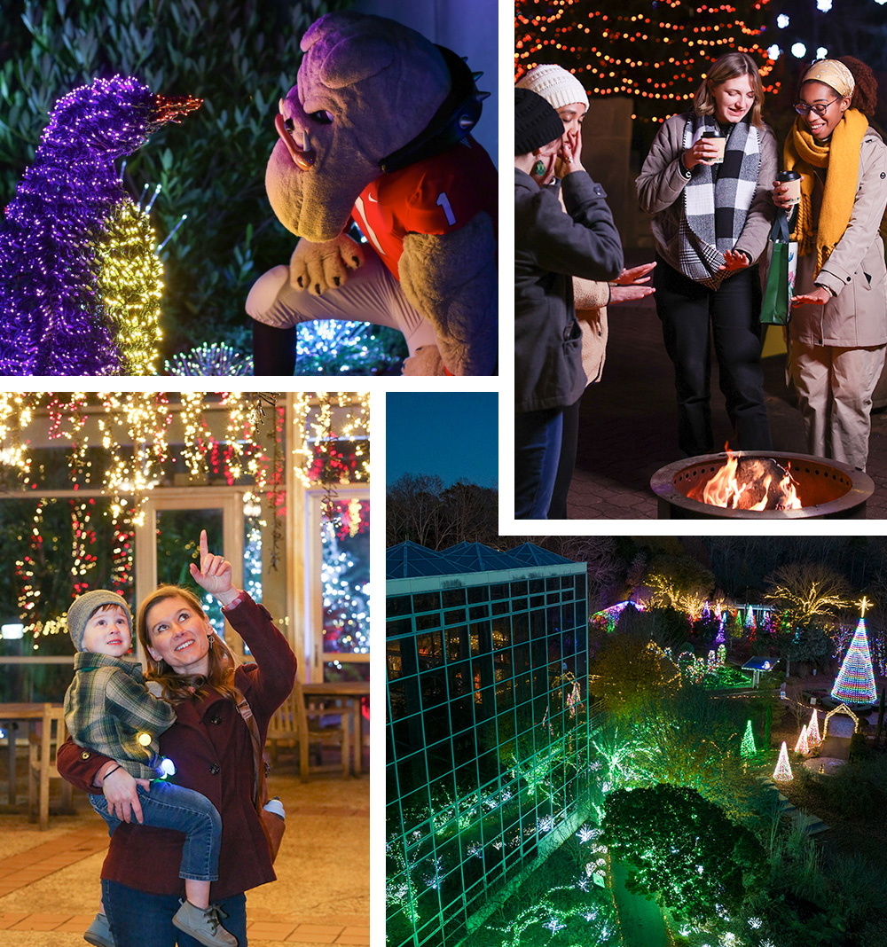 Christmas Mini Edition