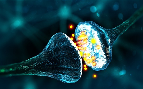 Neurotransmissor do “bem-estar” explica por que exercício é tão bom para o cérebro