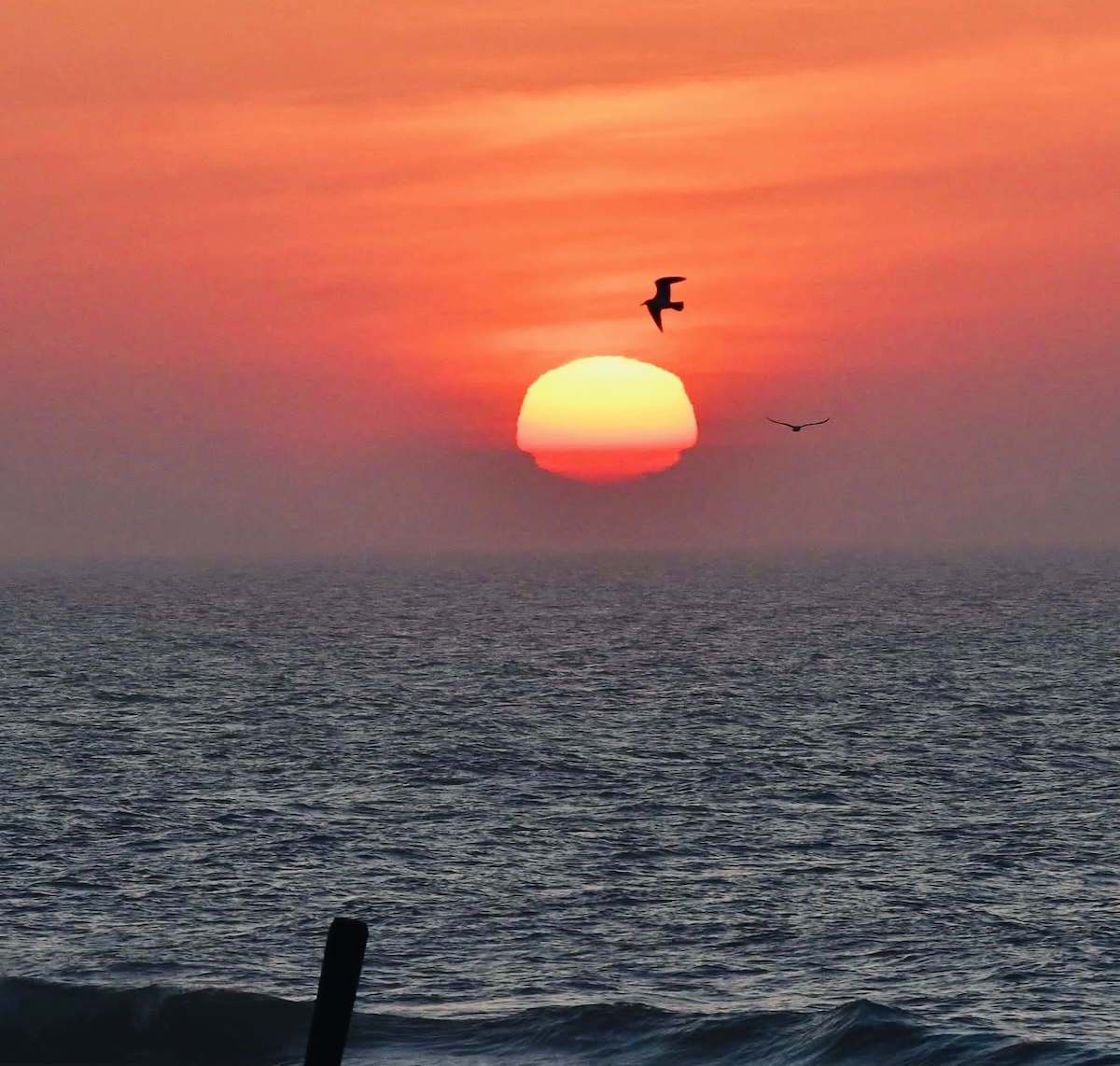 Things To Do in Ocean City, MD | June 14 - June 20, 2026             