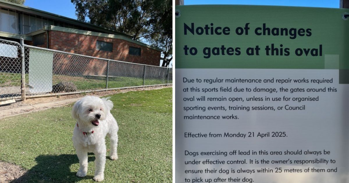 Few spoil it for many Why