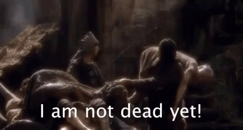 The Pre-Mortem Meeting: Momentum Mori