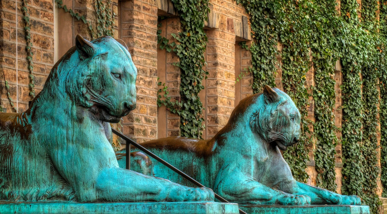 🟪 The upside of regulated crypto: Trustless cooperation - Blockworks  Newsletter