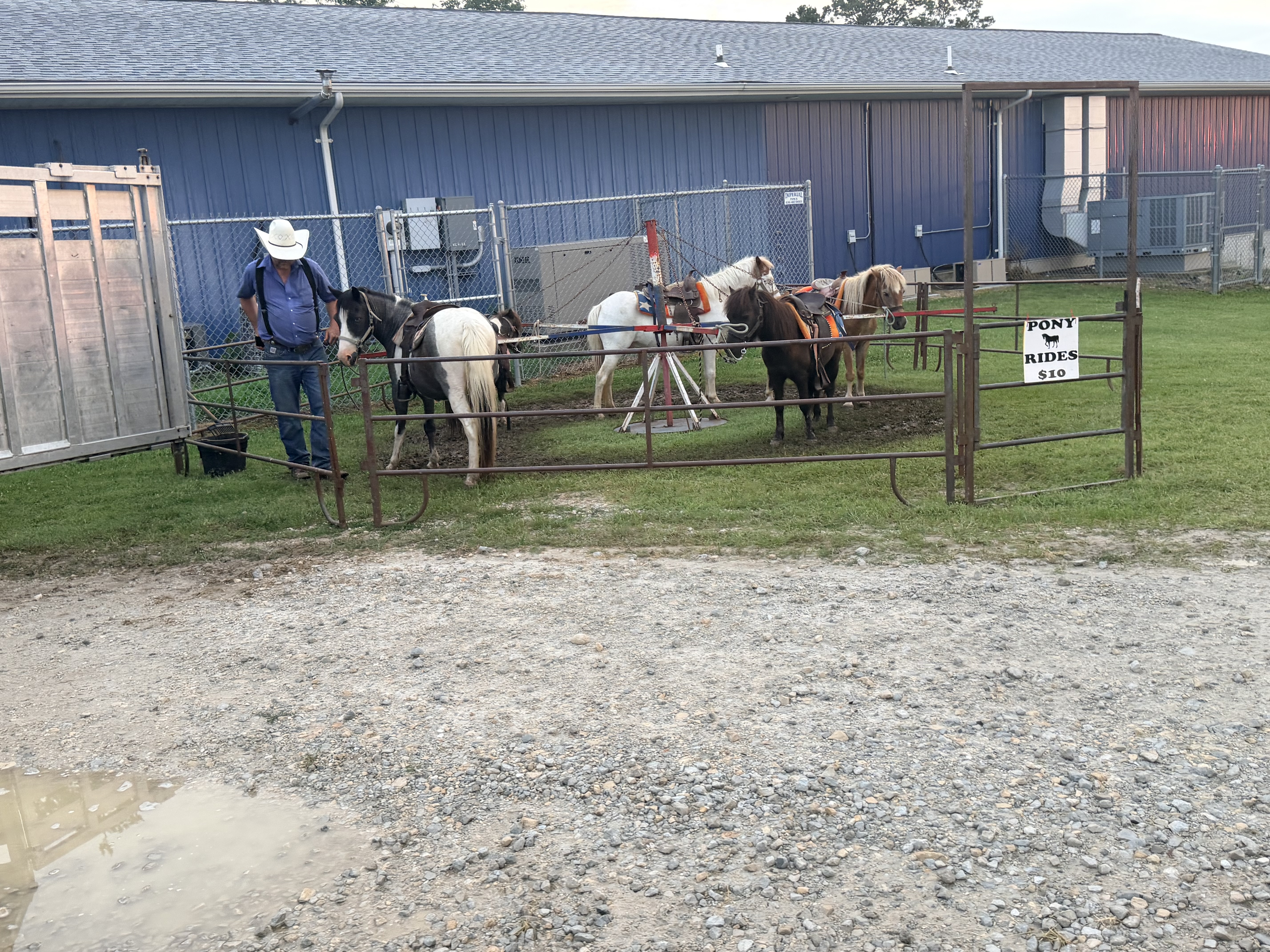 Pony rides at the Hillsboro Fourth of July celebration