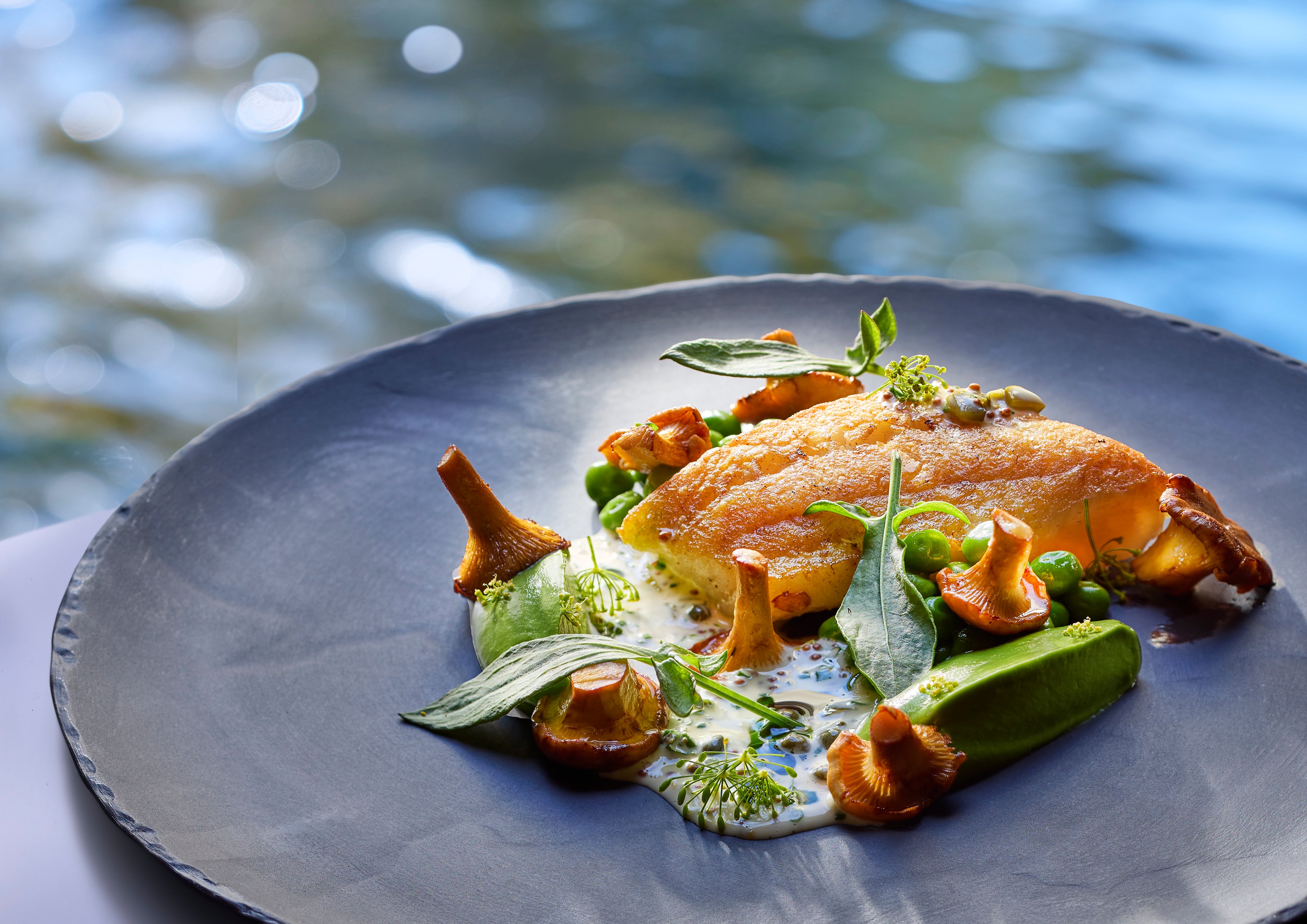 Plated local seafood with mushrooms and green sauce