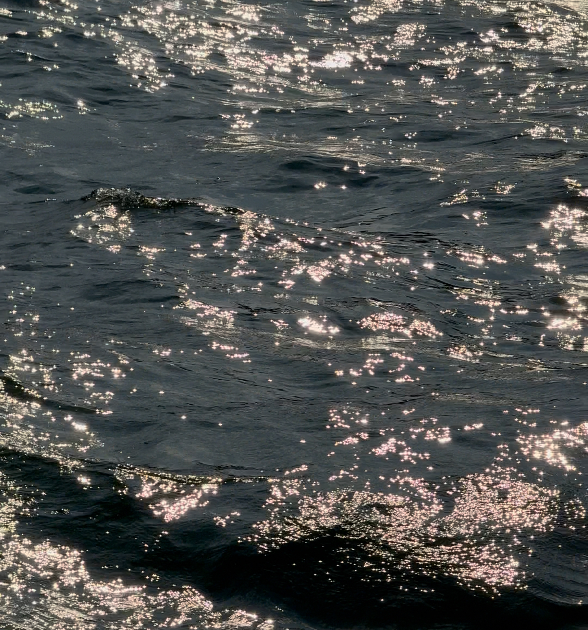 Lake Como Events – This Week