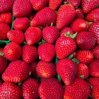 Strawberries at the farmers market