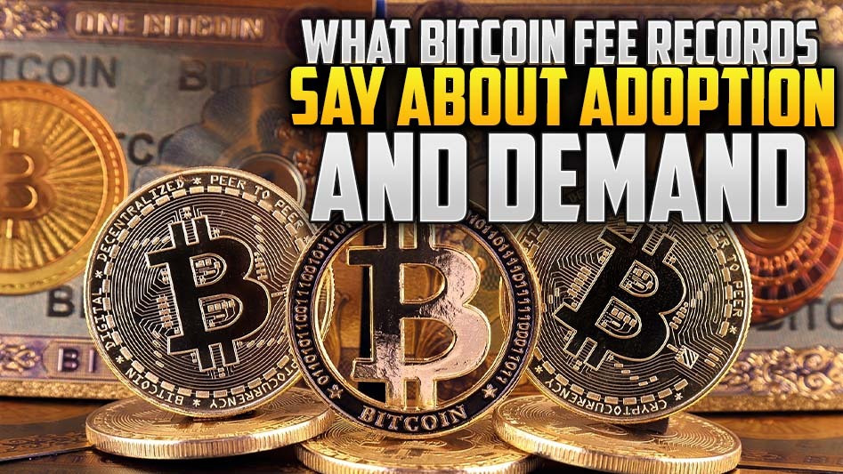 What Bitcoin Fee Records Say About Adoption and Demand