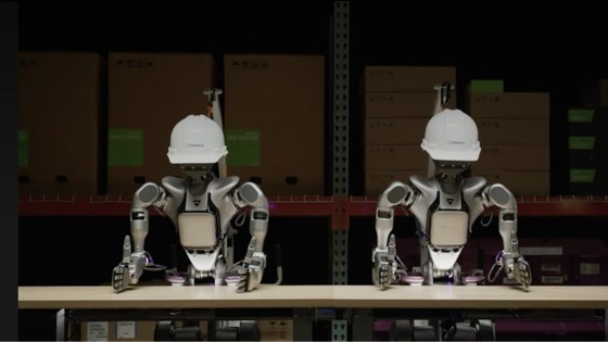 NVIDIA Robots