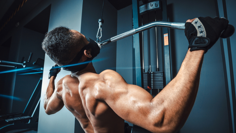 💪 Best Full-Body Workouts for Every Fitness Level