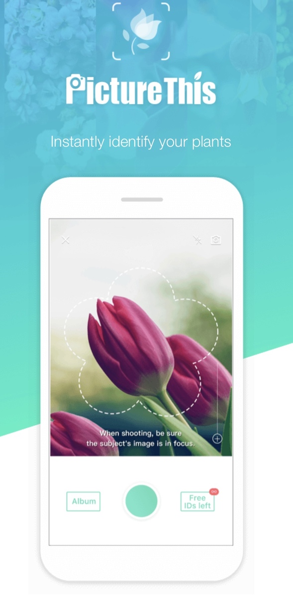 PictureThis Plant identifier