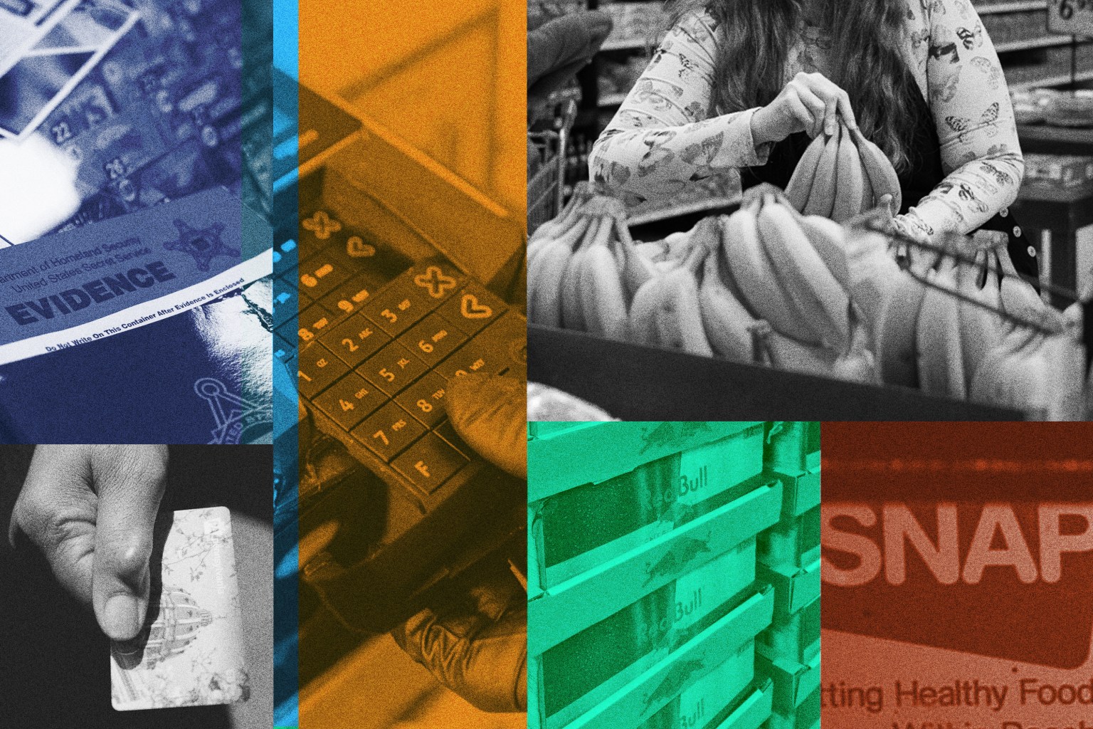 Collage illustrating SNAP benefit theft
