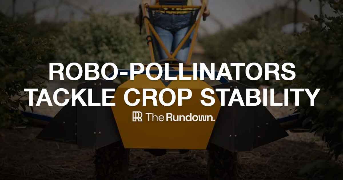 ⚡️ Robo-bees improve crop yield
