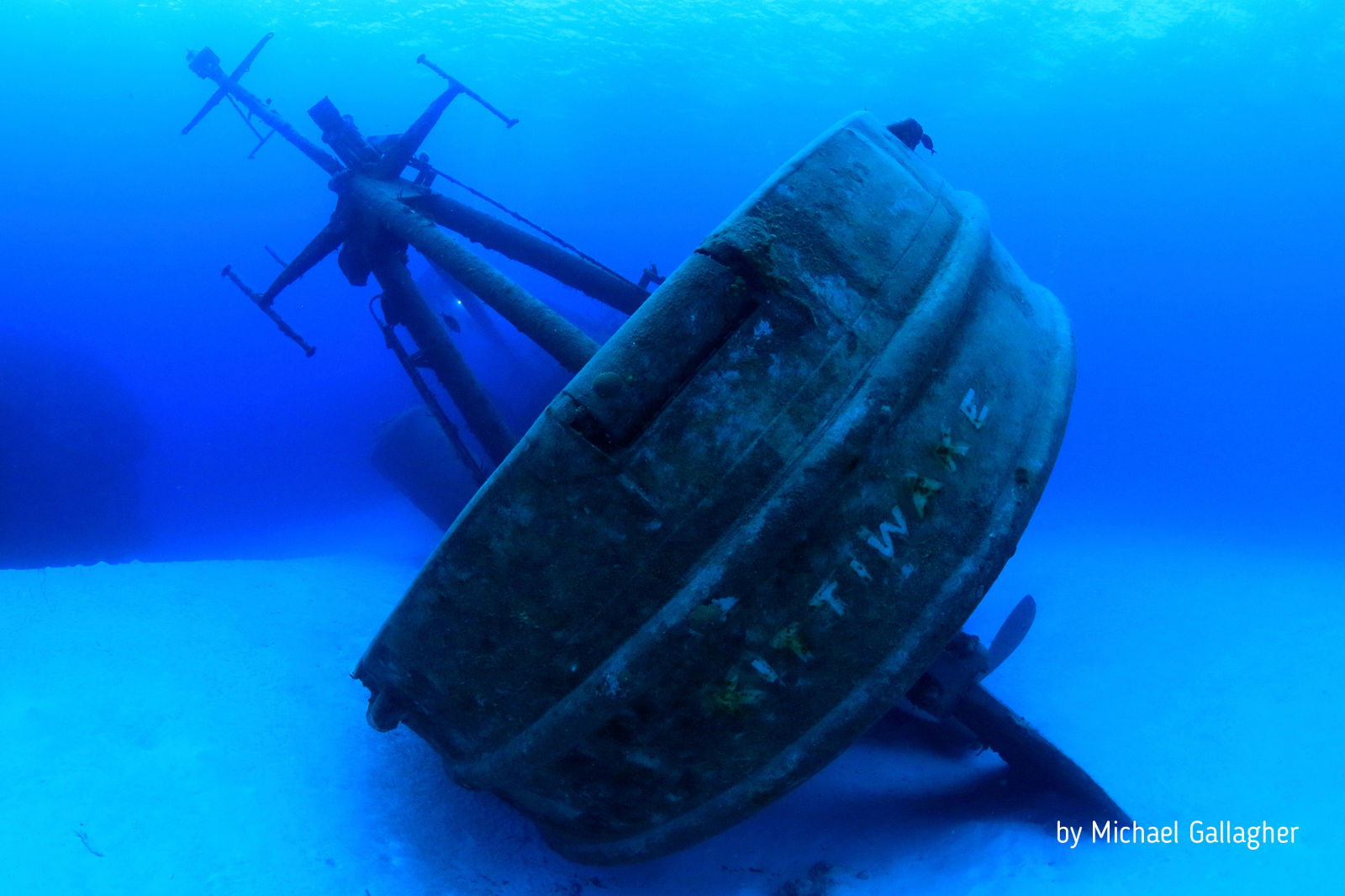The Cayman Islands: Where Crystal-Clear Water Meets Legendary Wall Diving