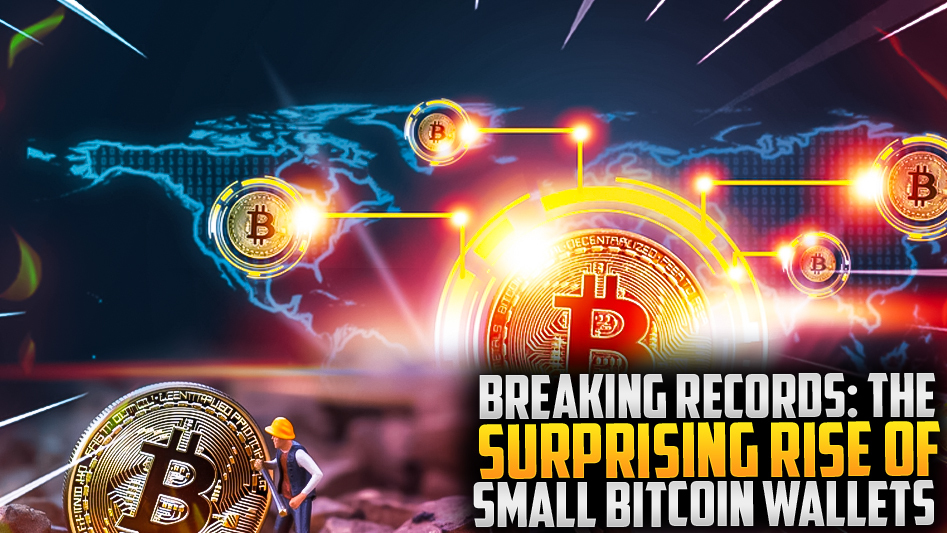 Breaking Records: The Surprising Rise of Small Bitcoin Wallets