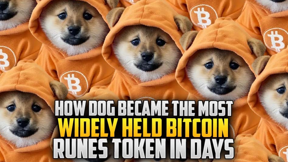 How DOG Became the Most Widely Held Bitcoin Runes Token in Days
