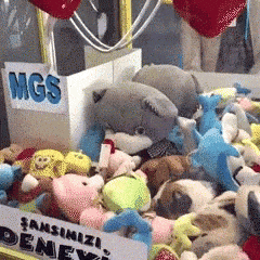 A cat inside a claw machine full of plush toys