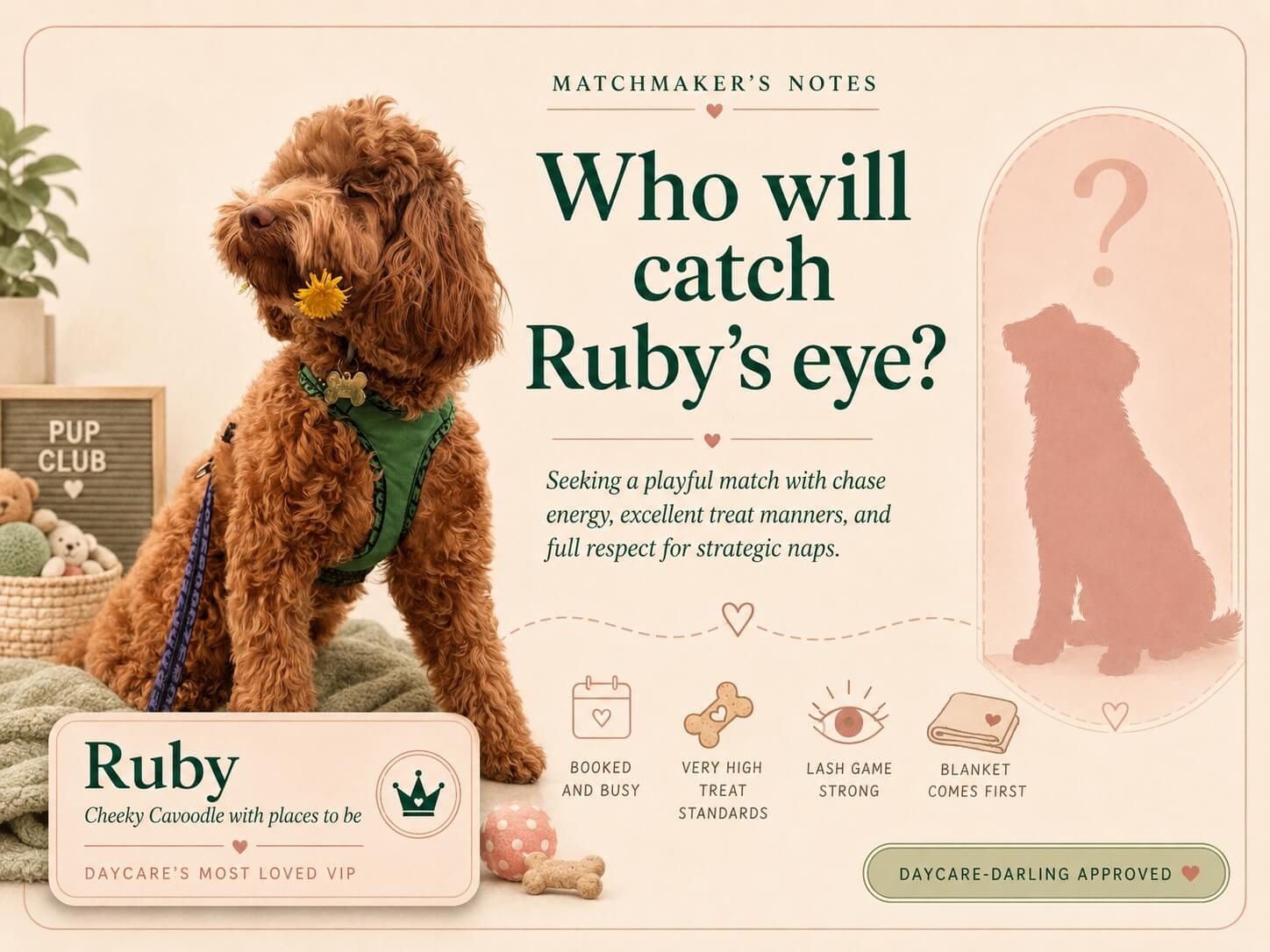 Matchmaker’s Notes graphic asking who will catch Ruby’s eye