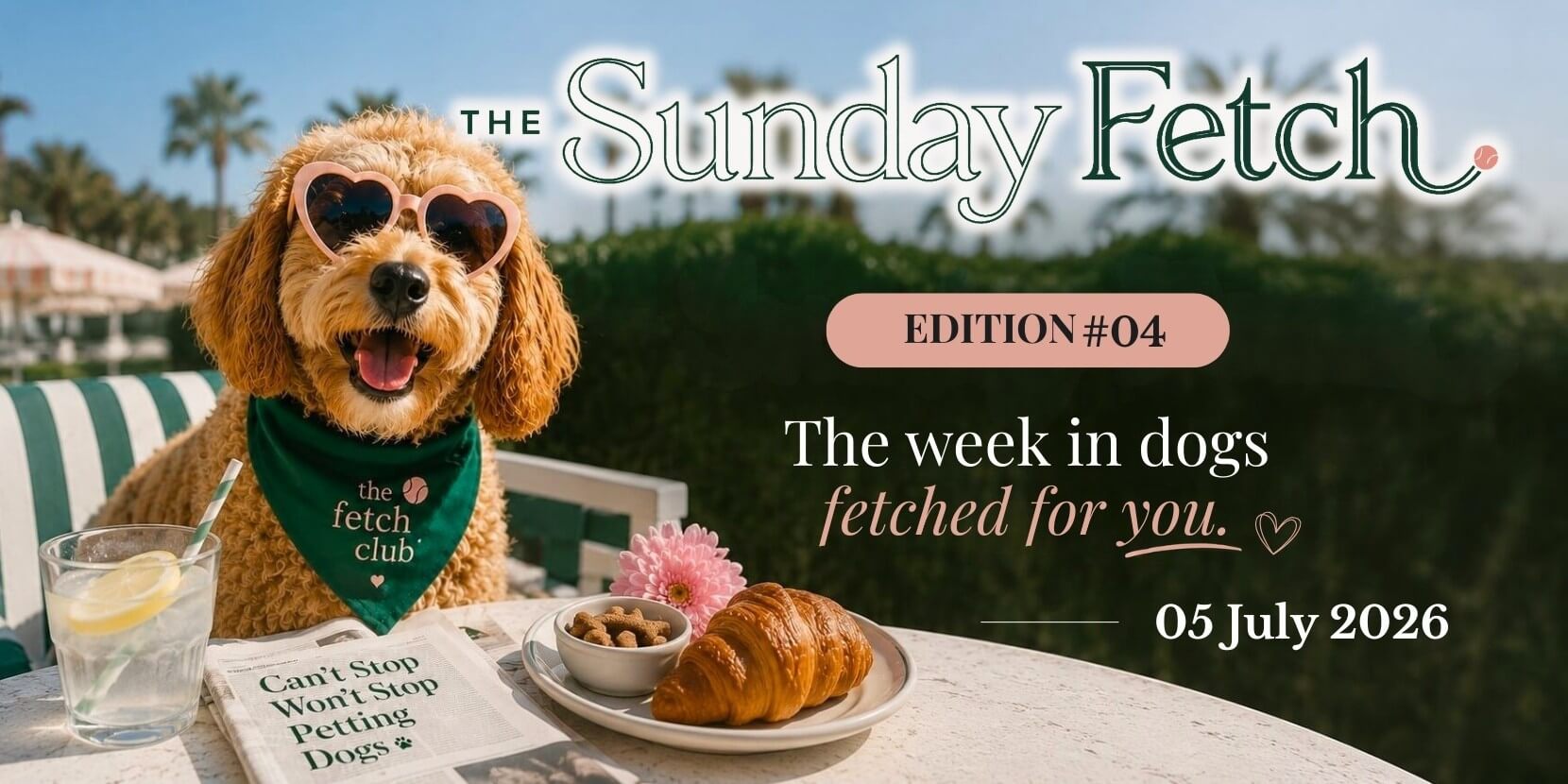 A cheerful dog wearing heart-shaped sunglasses at a sunny outdoor café for The Sunday Fetch Edition 04