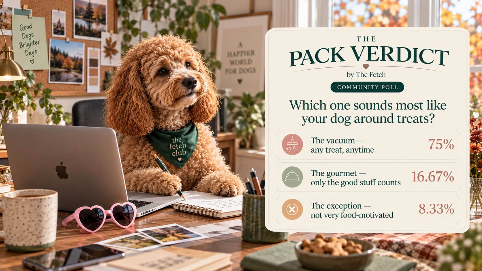 The Pack Verdict showing 75 percent of readers say their dog will take any treat anytime, 16.67 percent have gourmet tastes, and 8.33 percent are not very food-motivated