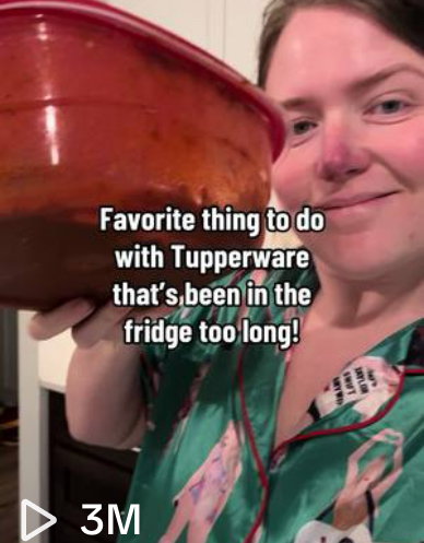 I Accidentally Went Viral on TikTok