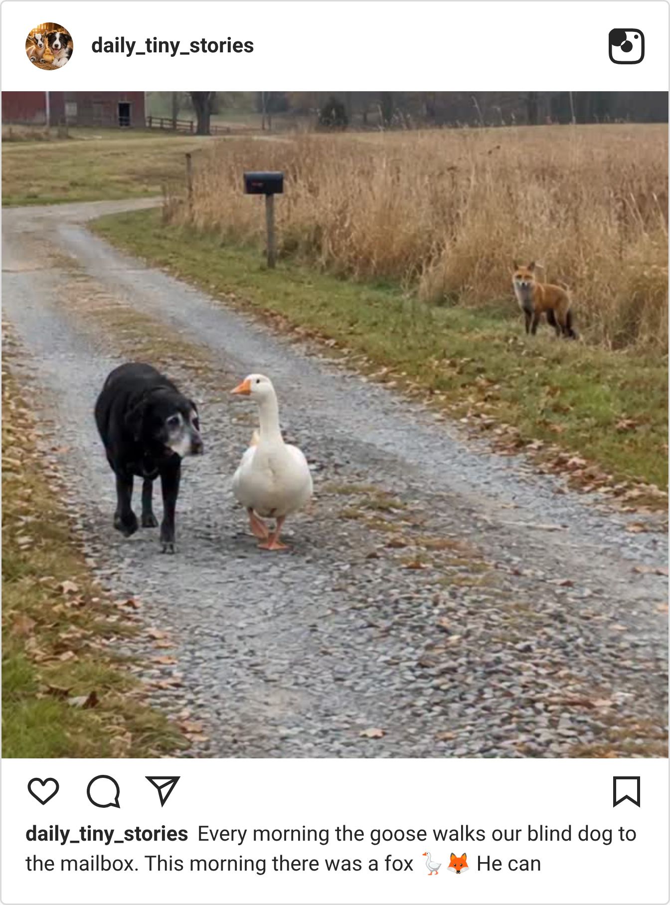 Instagram post