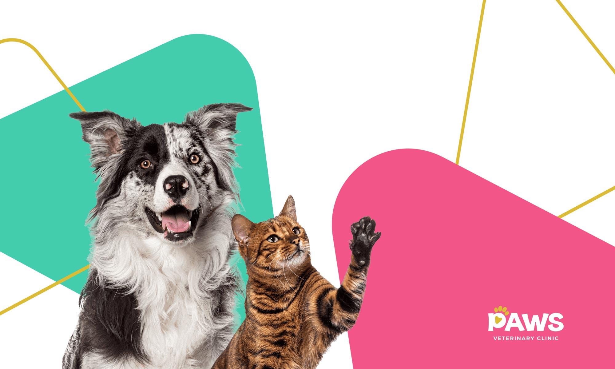 Paws Veterinary Clinic in Delray Beach