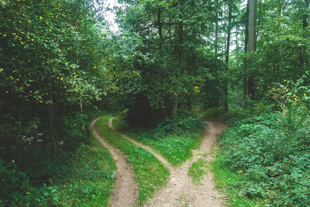 The Weight of Choice: Why Character Reveals Itself in the Small Decisions 