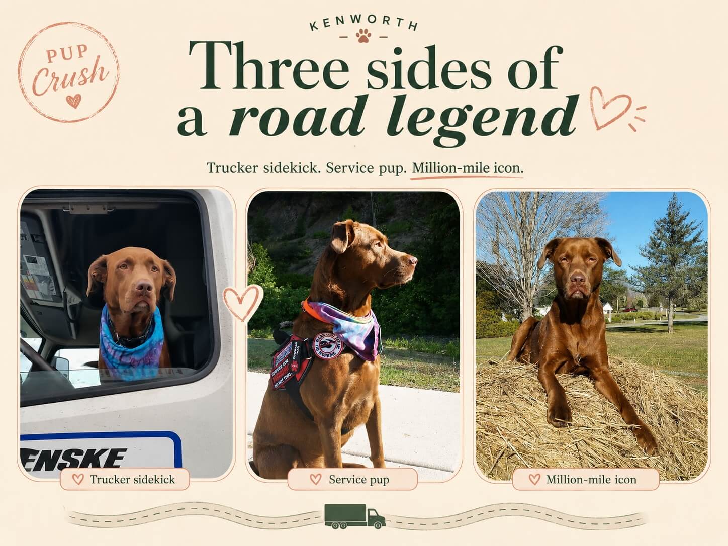 Kenworth the retired trucker sidekick and service pup in three featured moments