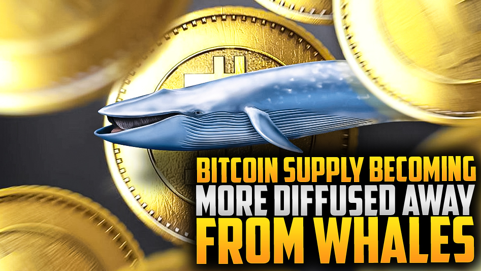 ⚡Bitcoin Supply Scatters from Whales