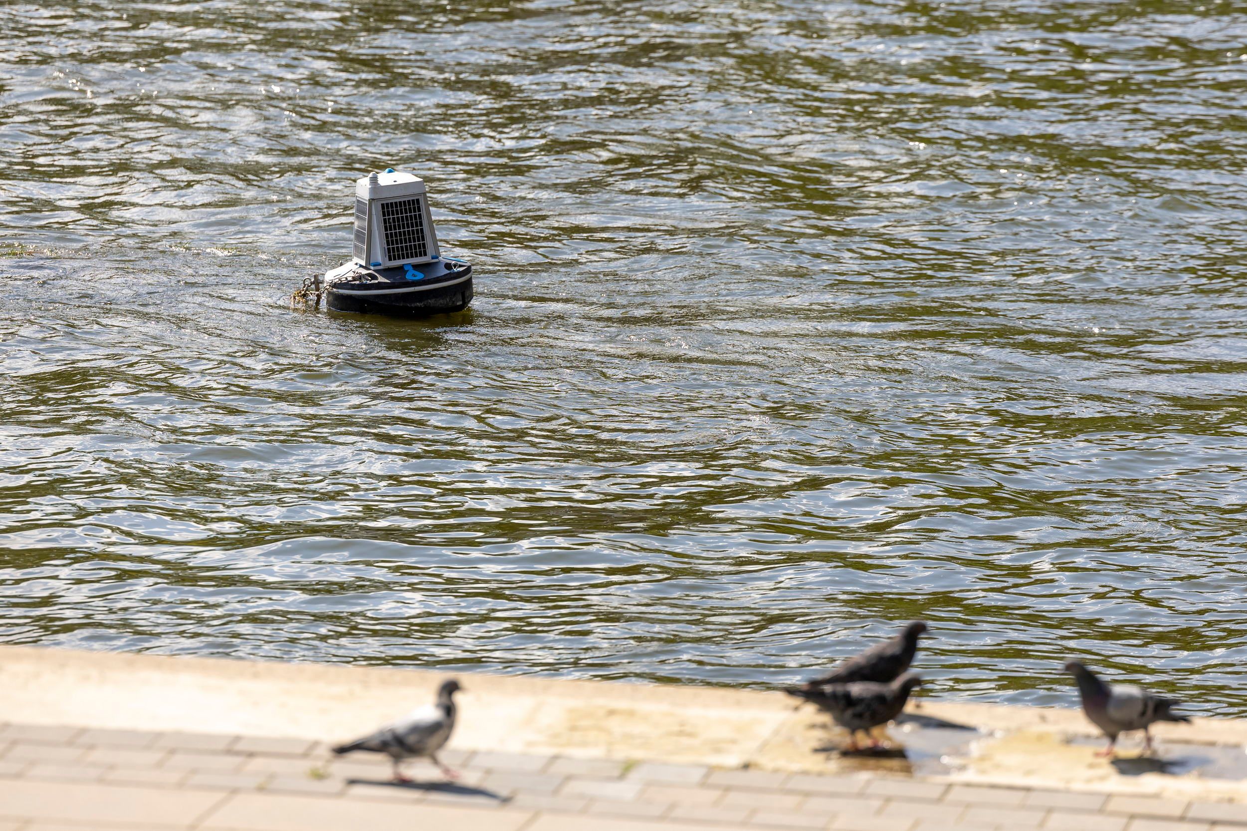 Vilnius stiprina Neries apsaugą – apie vandens taršą praneš išmaniosios plūdės