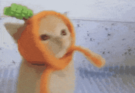 Cat wearing a carrot costume
