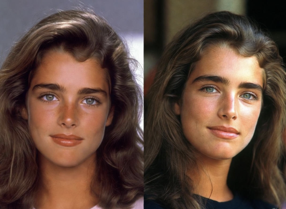 Brooke Shields, From 1980s Teen Star to Union President