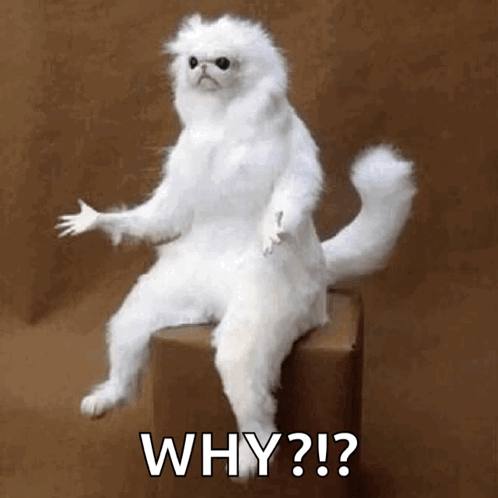 Capture the "Why" Behind Decisions