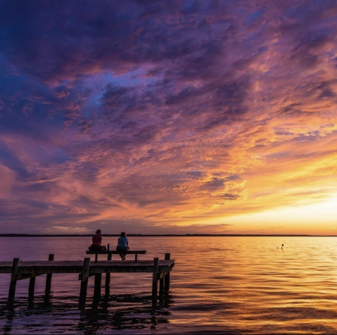 Where to Be in OCMD ~ December 1 - December 7, 2024  