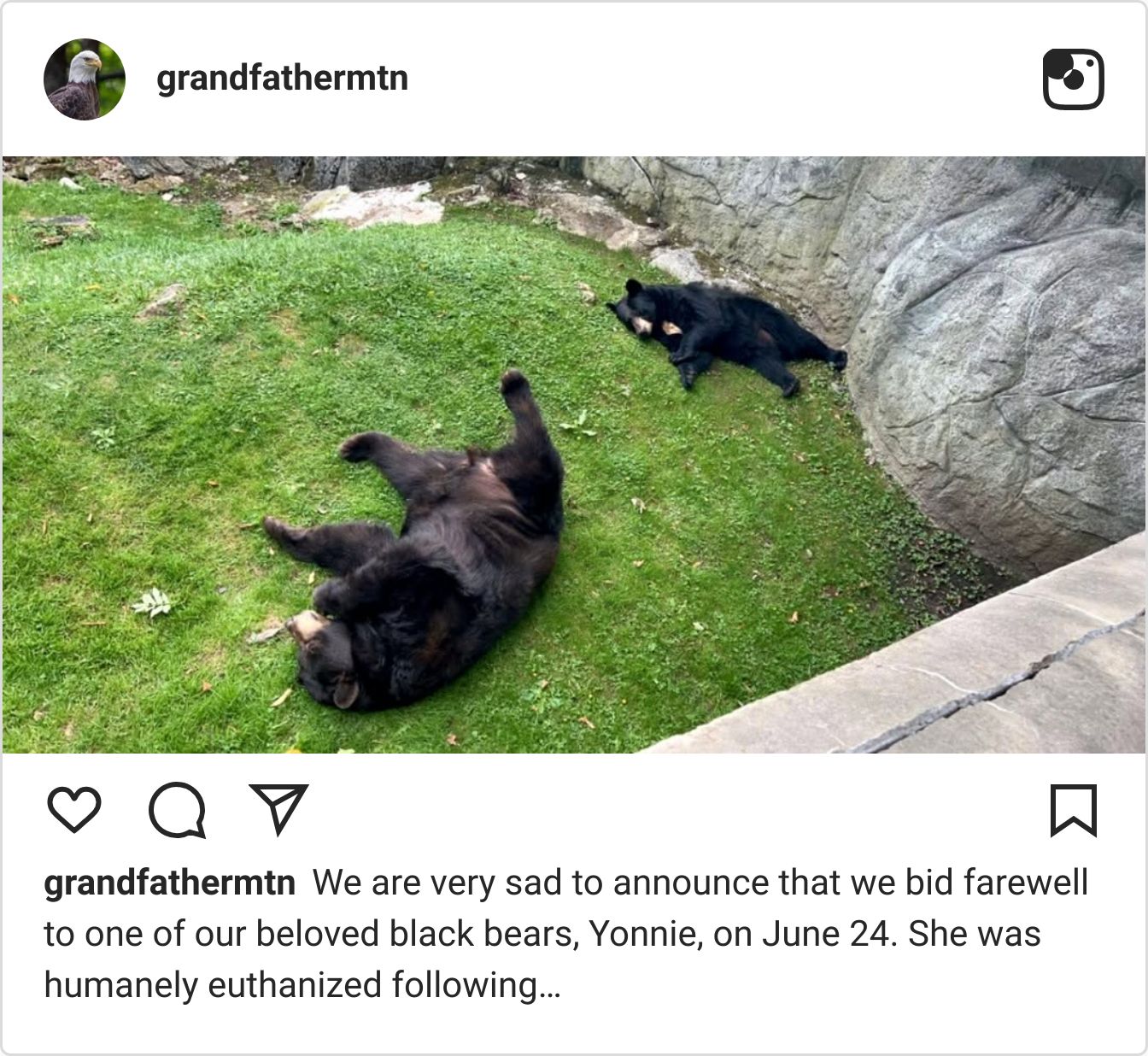 Instagram post