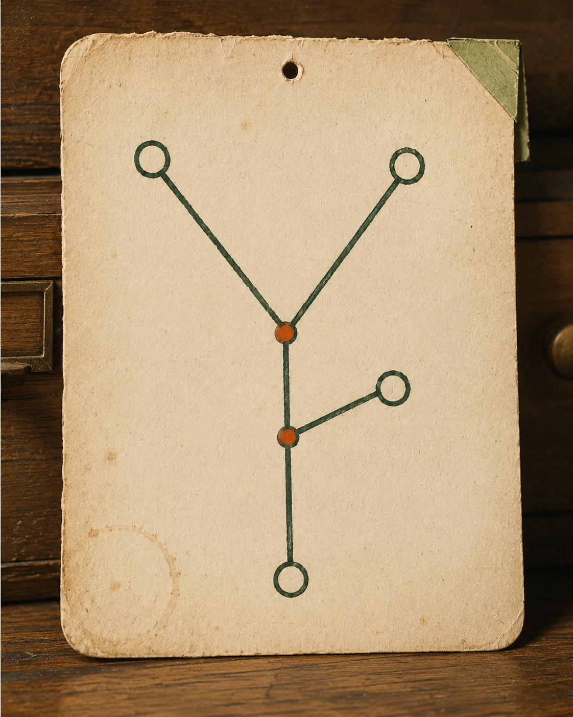 A vintage Showa-era hand-inked study card leaning against a warm wooden desk. On its face, a matcha-green forking diagram: a single line rises from a lone root at the base, splits once into a two-way fork, with a small third side-branch peeling off — four blank endpoint circles, the two junctions marked with kaki-persimmon dots. The two-question sorting logic of the わけ family made into one hand-made card.